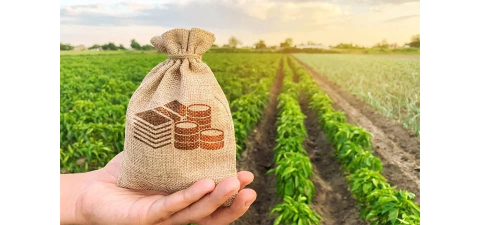 CNA alerta para gravidade do endividamento rural e defende aperfeiçoamento das regras de crédito