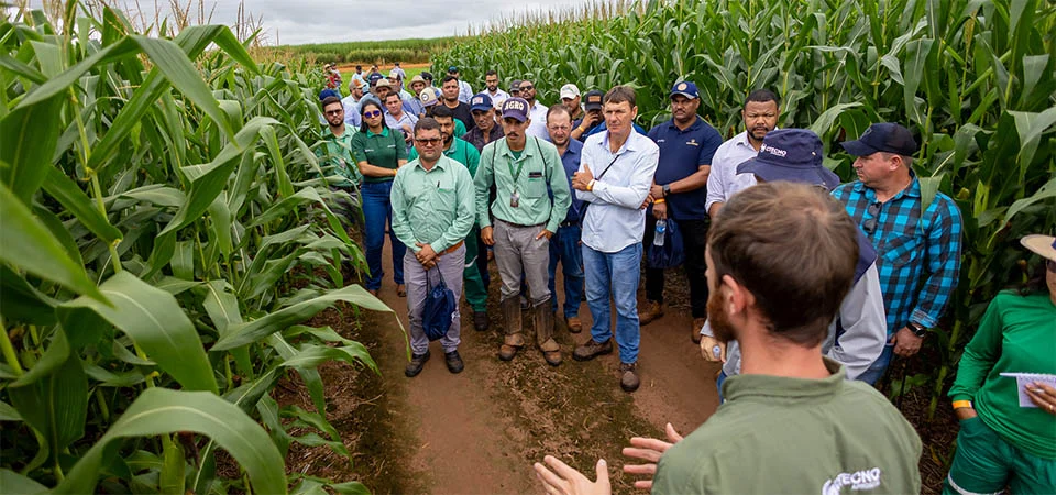 Visita ao CTECNO Parecis mostra estratégia de manejos para segunda safra em solos arenosos