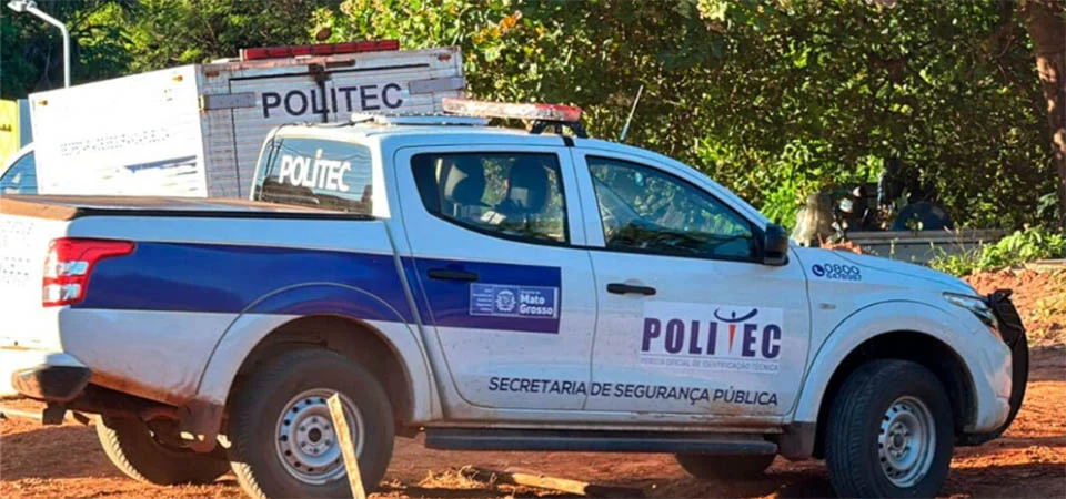 Homem morre ao ser atacado por enxame de abelhas