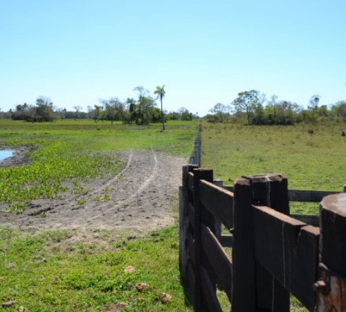 Petrobras reduz preço da gasolina em 1,4% e sobe o diesel em 0,7%