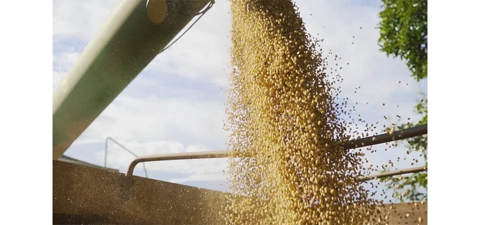 Mato Grosso segue com déficit considerável de armazéns para estocar soja e milho