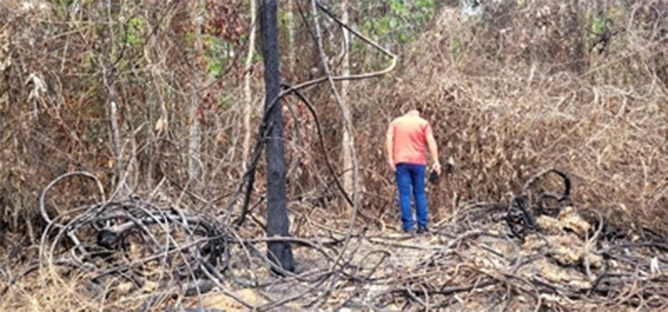 Homem desaparecido é encontrado morto em região de mata