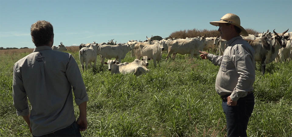 Sucessão familiar no agro: como atrair os jovens para o campo?
