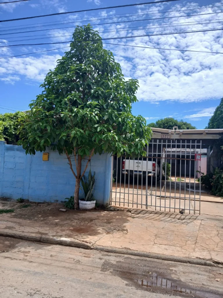 CA002 - Imagem