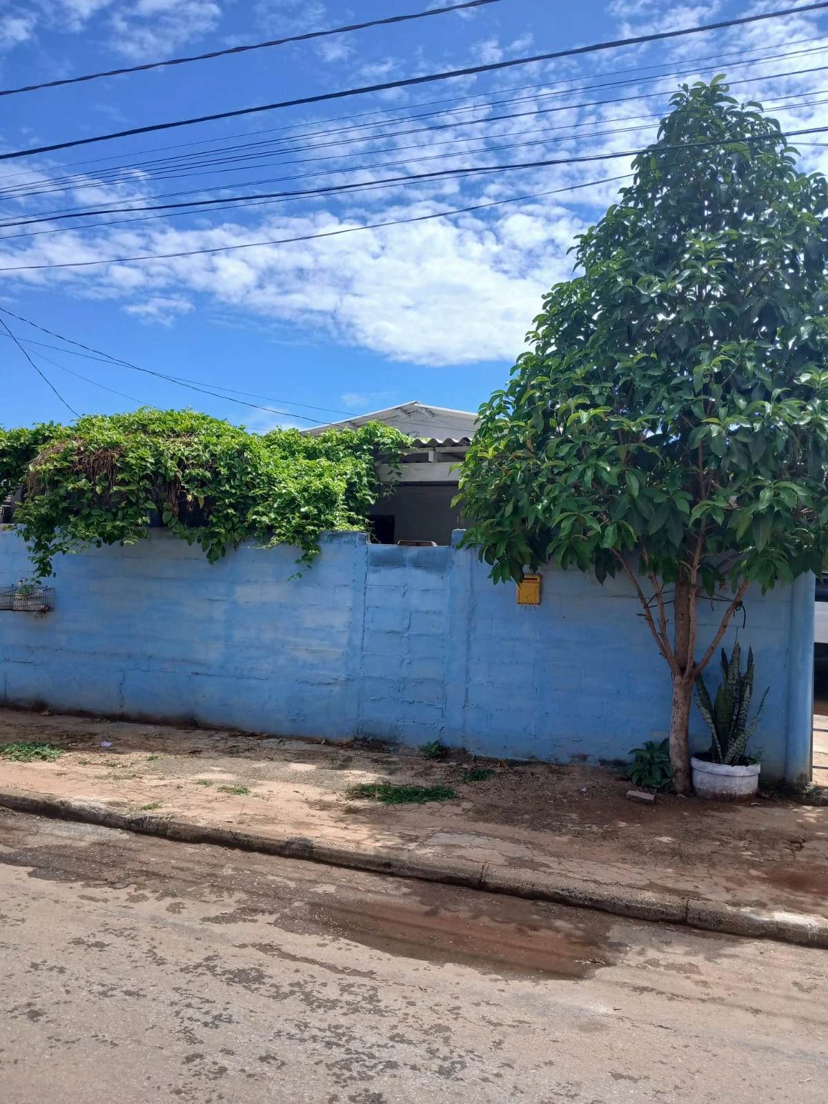 CA002 - Imagem